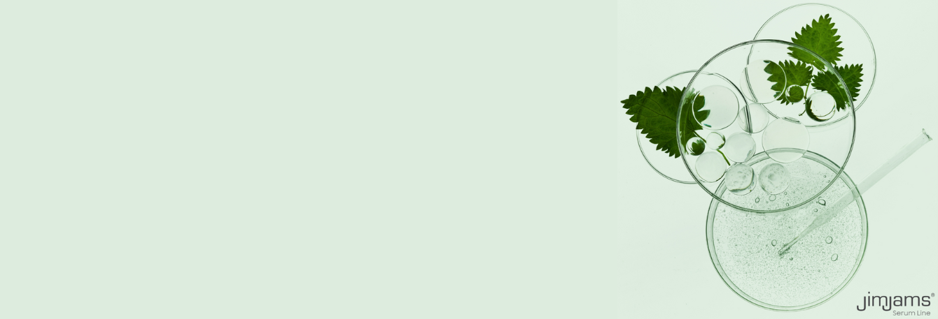 Professional interview with Dr. Erika Csordásné Rónyai