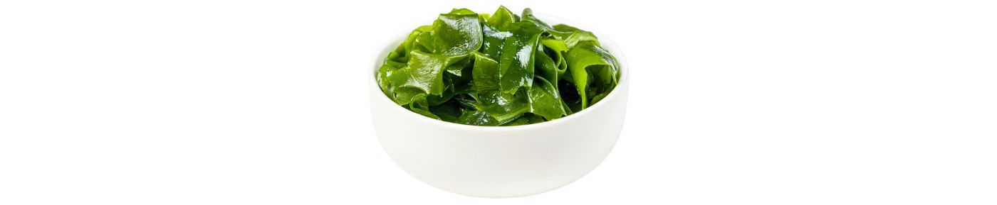 Marine algae