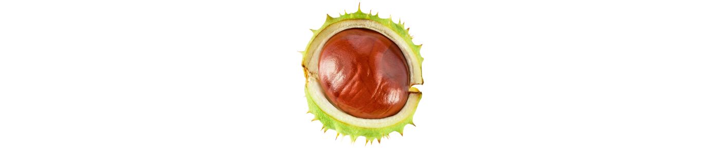 Horse chestnut extract