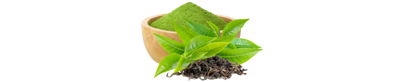 Green tea extract
